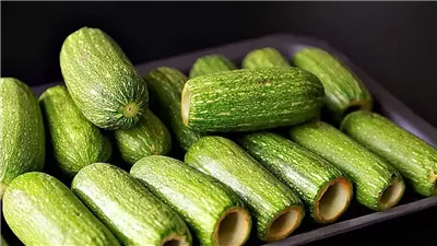 حفر الكوسا الخطوات والنصائح