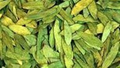 طريقة شرب السنامكي