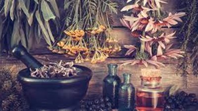 أنواع الأعشاب التي تساعد على الهضم