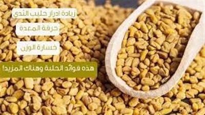 نصائح لاستخدام الحلبة