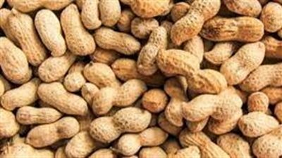 أضرار الفول السوداني