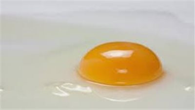مدة صلاحية البيض