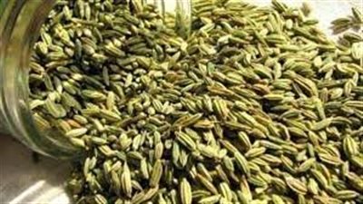 أطعمة طاردة للغازات: ما هي ولماذا هي مفيدة؟