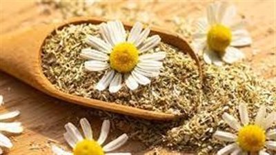 البابونج: فوائده العديدة للجسم