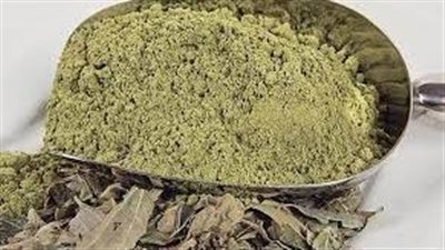 فوائد السدر لتكثيف الشعر: رحلةٌ نحو شعرٍ أكثر غزارةً