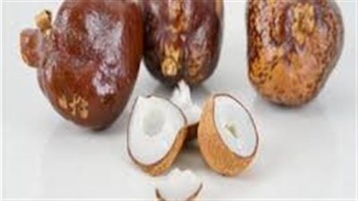 وداعاً للشعرِ التالفِ مع الدومِ: فوائدُهُ واستخداماتُهُ