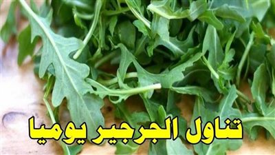 20 فائدة للجرجير.. يقى من البرد ويقوى عظامك وقلبك وغذاء صحى لمريض السكر