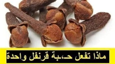 ماذا تفعل حبة قرنفل واحدة تحت اللسان يوميا في جــسم الإنسان
